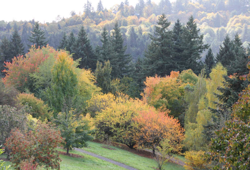 Oregon Trail Arboretum, United States